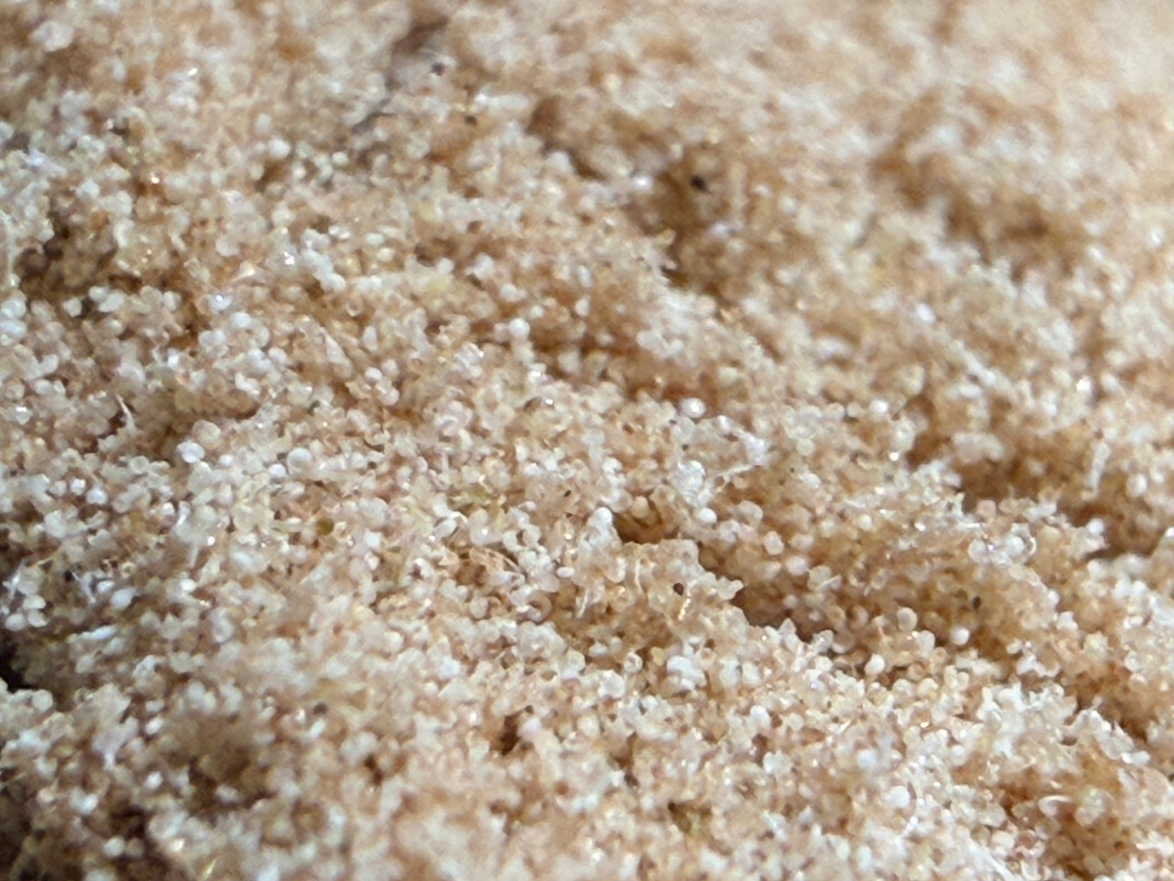 Résine Angel Cake