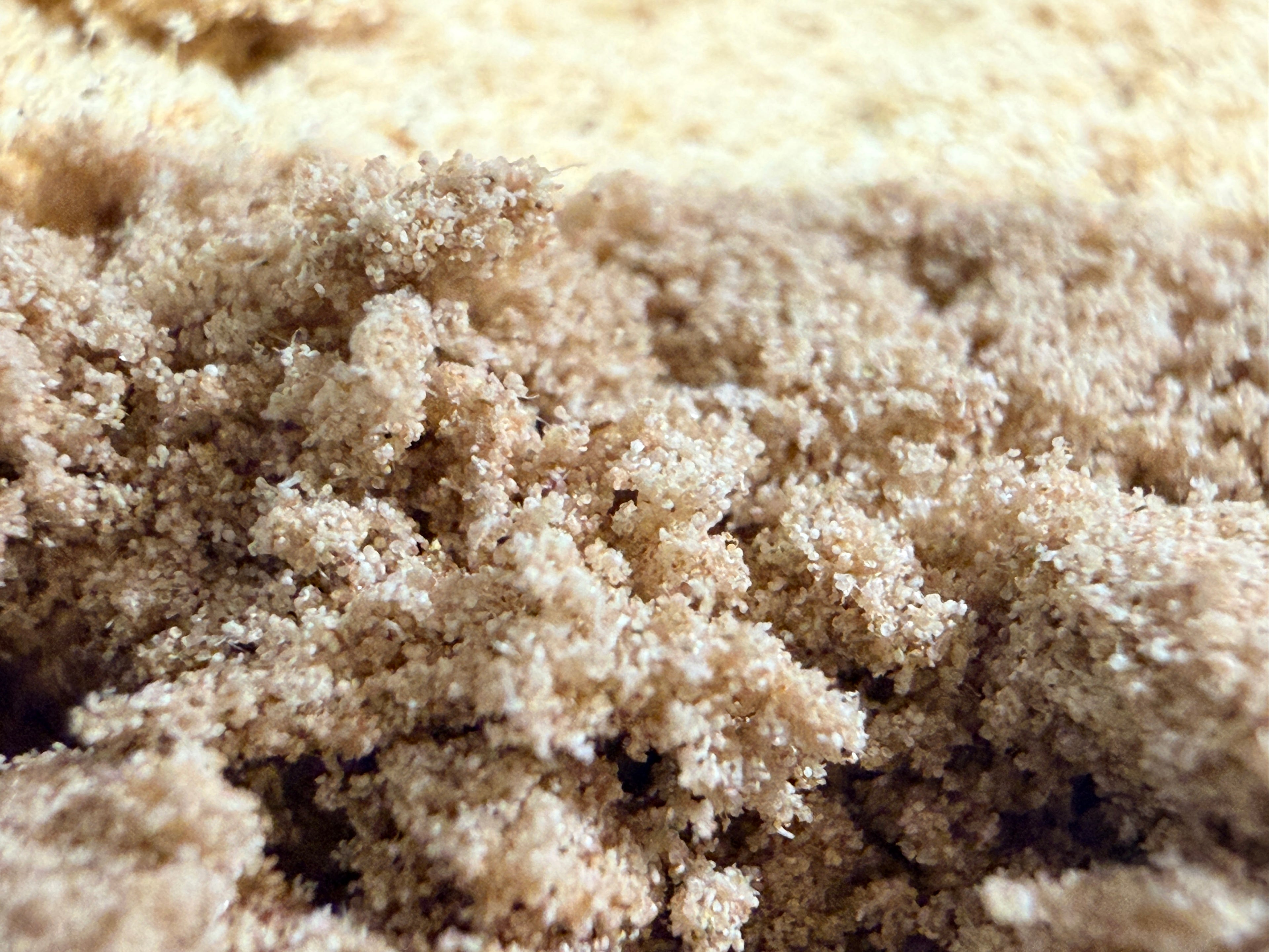 Iceolator Zombie Flow