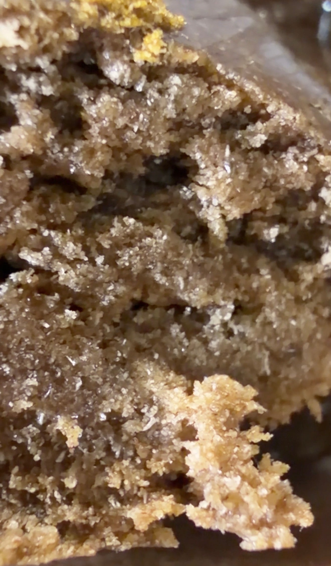 Iceolator Zombie Flow