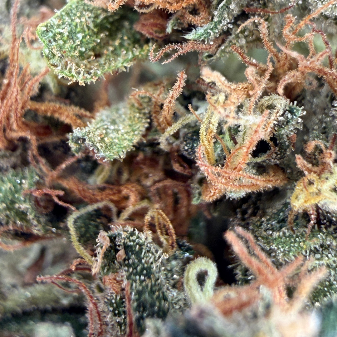 Rainbow Sherbet
