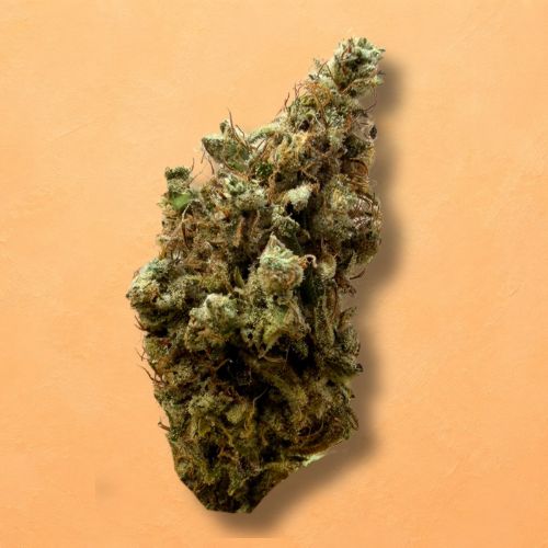 Pineapple Gushers (Indoor)