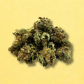 Small Buds Angel Cake (indoor)