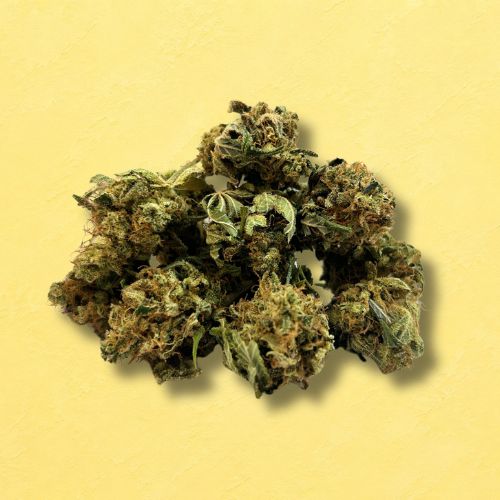 Small Buds Angel Cake (indoor)