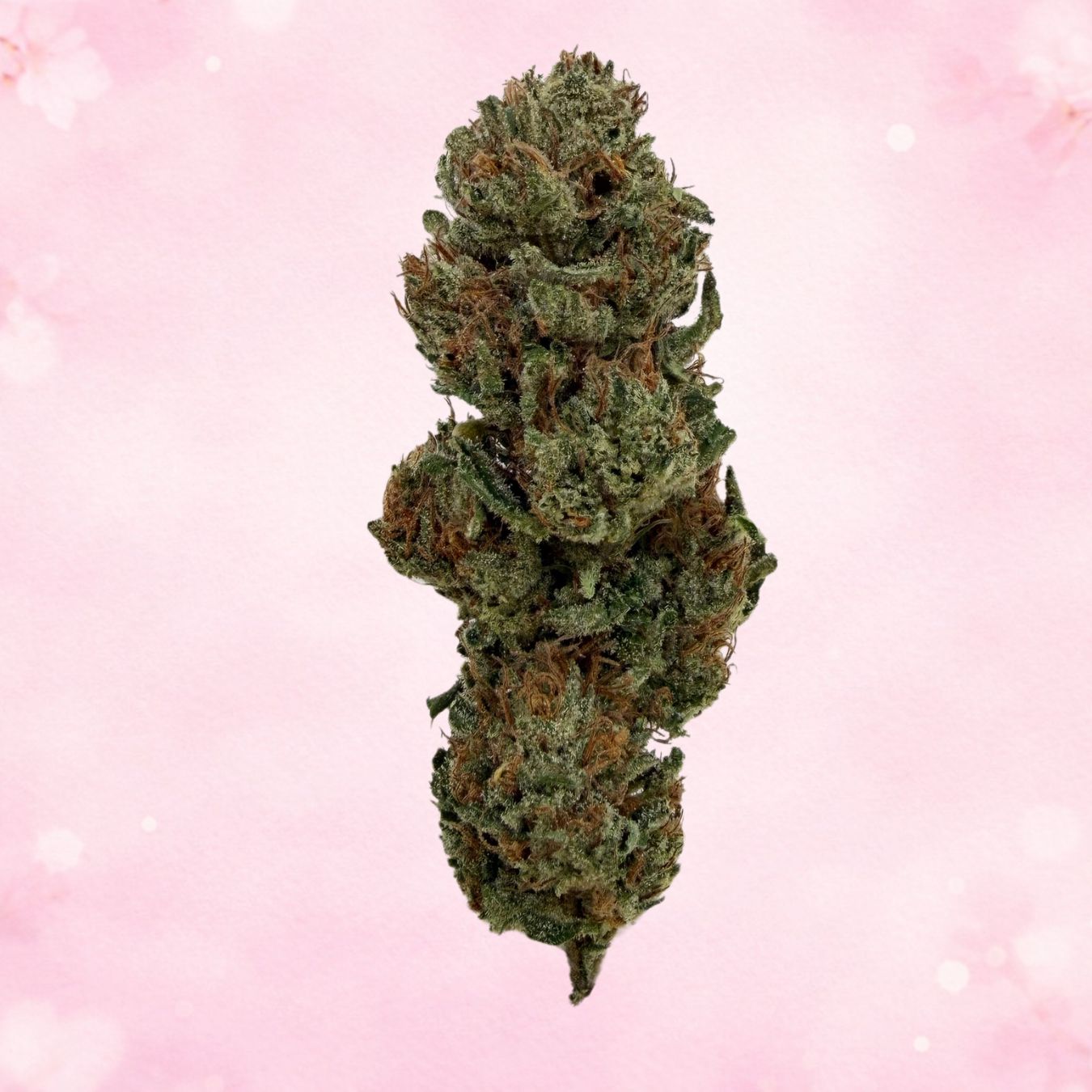 Payton’s Strawberries