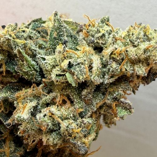 Rainbow Sherbet (Indoor)