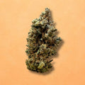 Rainbow Sherbet (Indoor)
