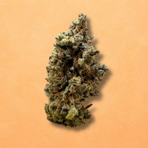 Rainbow Sherbet (Indoor)