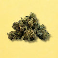 Small Buds Tropical Fruit Scoop (indoor)