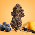 Smoothie (Indoor)
