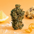 Lemon Cookie Dough (Indoor)