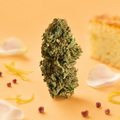 Angel Cake (Indoor)