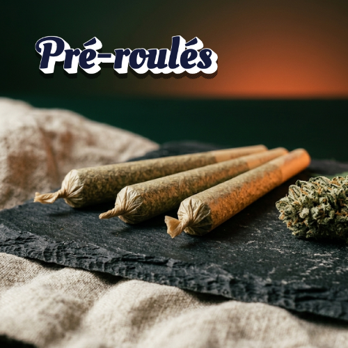 Pré-roulés Orange Fritter