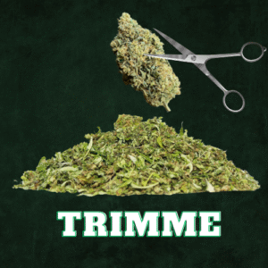 Trim de manucure - 20g