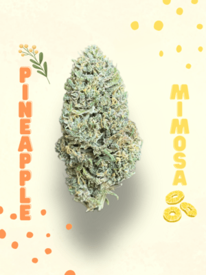 Pineapple Mimosa