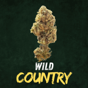 Wild Country