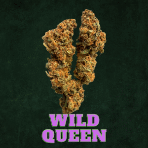 Wild Queen