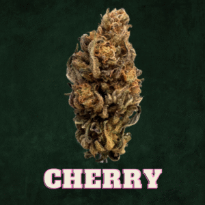 Cherry