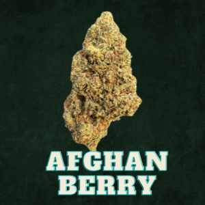 Afghan Berry