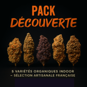 Pack Découverte