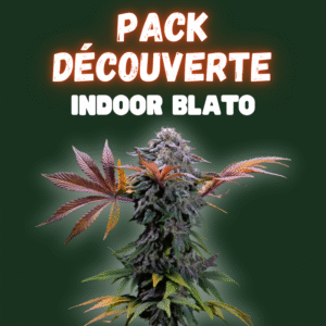 Pack Découverte