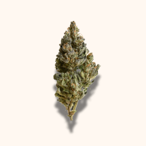 Tropical Fruit Scoop