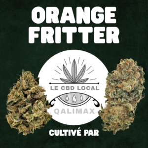 Orange Fritter