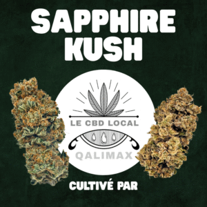 Sapphire Kush