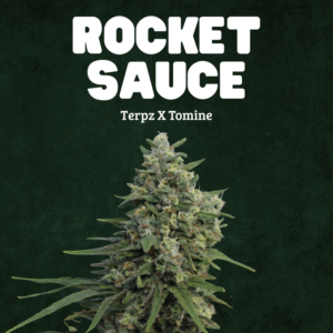 Rocket Sauce - Terpz X Tomine